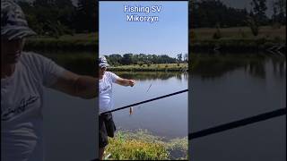 Красноперка Приятно Радует. Рыбалка на платнике Микожин. 15.08.2025. #4k #video #fishing #хобби