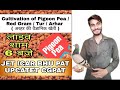 Cultivation of Pigeon Pea / Red Gram / Tur / Arhar ( अरहर की वैज्ञानिक खेती )