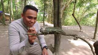 Download Lagu SI LAMBAT YANG BISA BERUBAH WARNA | SI OTAN (12/12/18) MP3