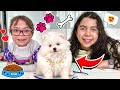 SARAH E ELOAH e uma SURPRESA de uma CACHORRINHA NOVA !!! - Sarah de Araújo