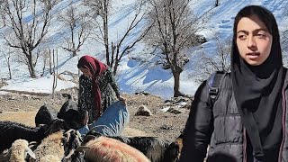 Download Lagu Help at the Camden House: Layla's cold behavior again - Mother helps bake bread🥖🍞💔😞 MP3