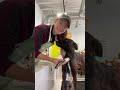 When bathing your dog you should train it in baby steps before you actually need to bathe them! Bat