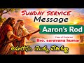Aaron’s Rod Mystery | అహరోను యొక్క చేతి కఱ్ఱ రహస్యం ఏమిటి?