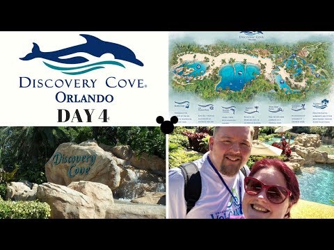 Walt Disney World 2018 - Day 4 - Discovery Cove vlog & road trip... but where to?