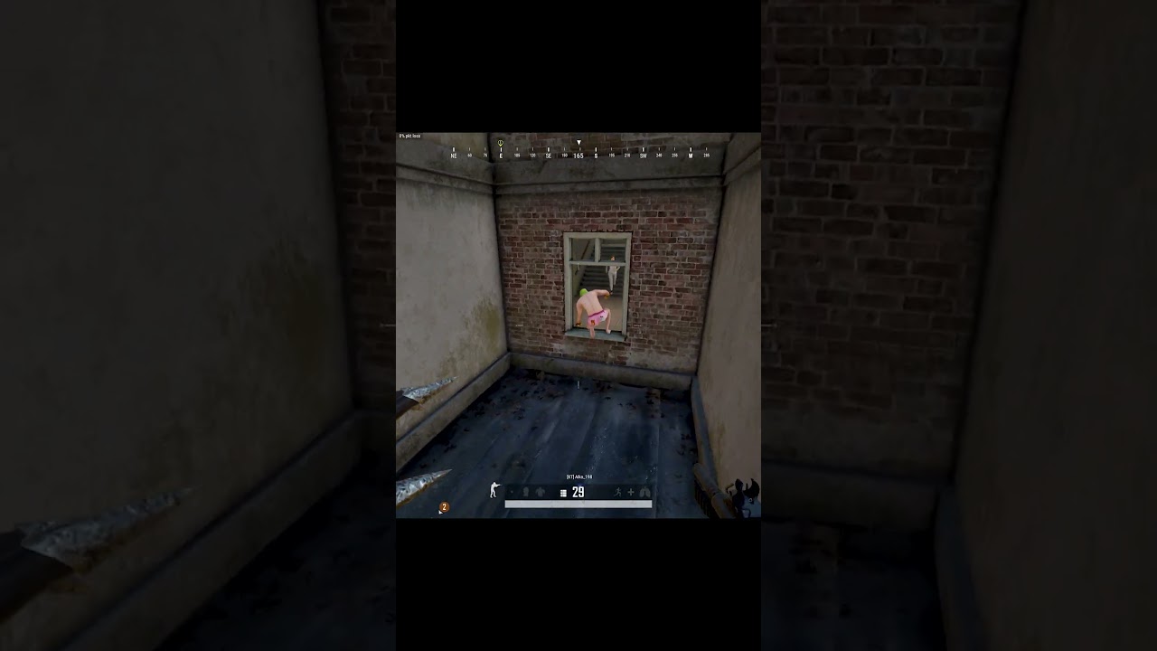 pubg pc fanny
