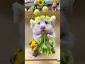 This Hamster Costume is TOO CUTE #hamster #hamsters #cutehamster #cutepets #petshorts #fyp
