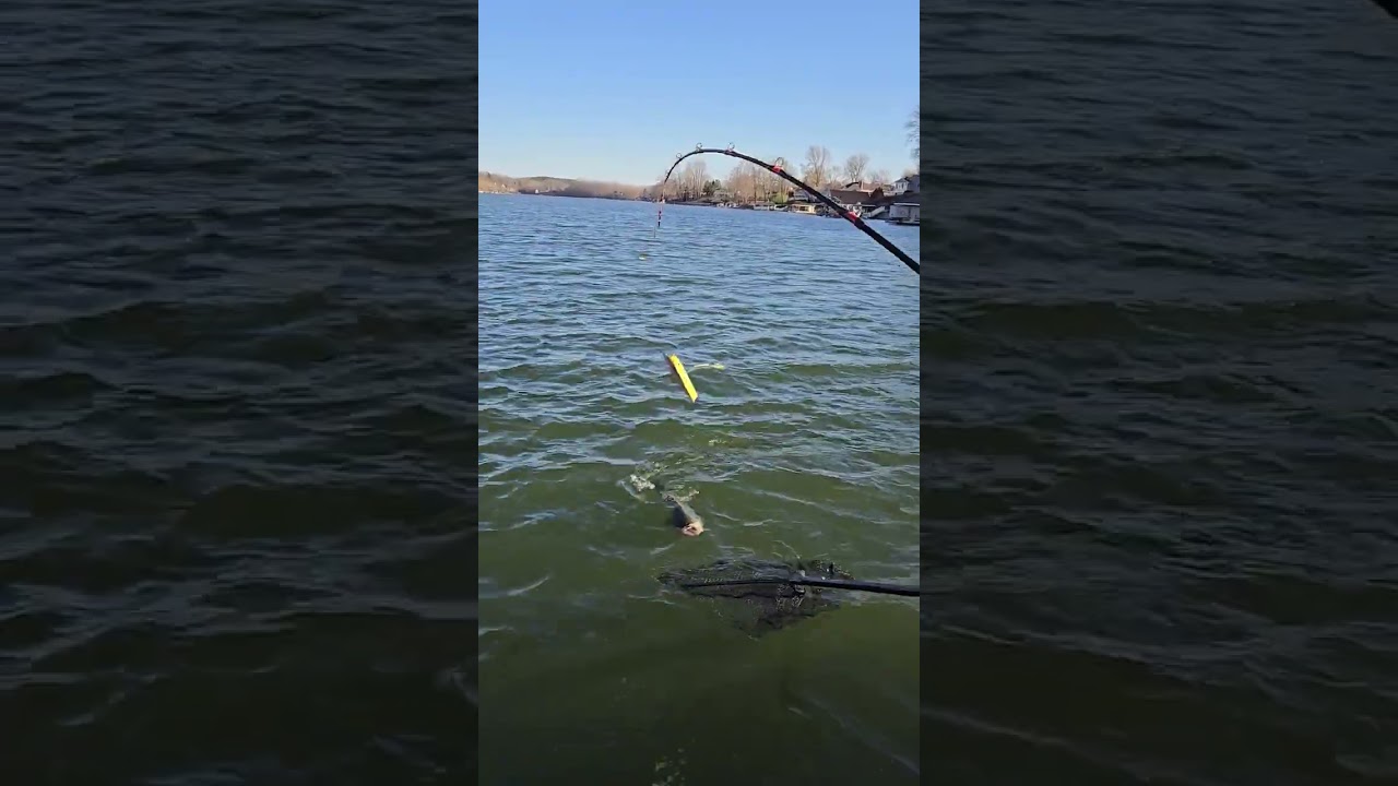 lift the pole !  it's just a fish !