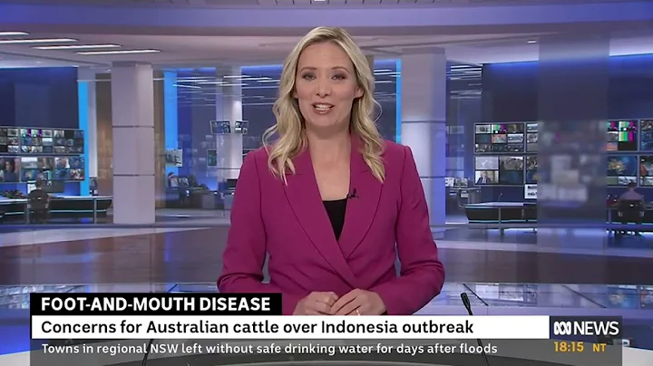 ABC news Meredith sheehan