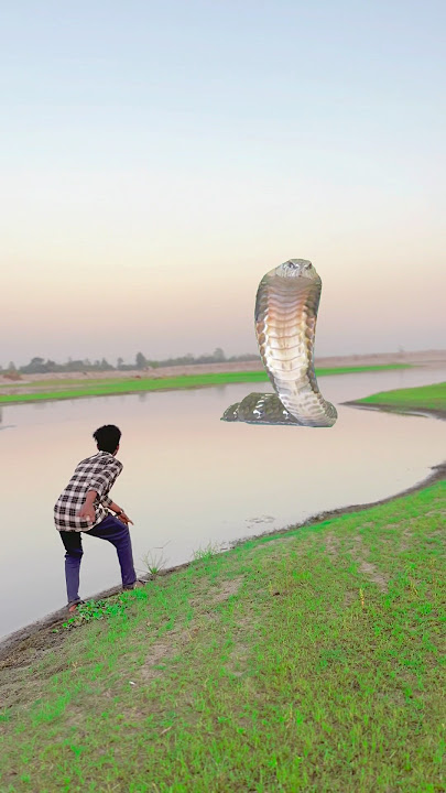 Birij se data snake agaya hara hara Sambhu short video