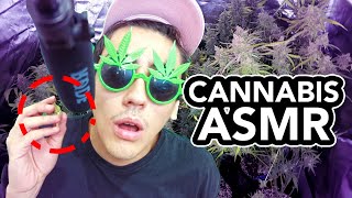CANNABIS ASMR screenshot 5