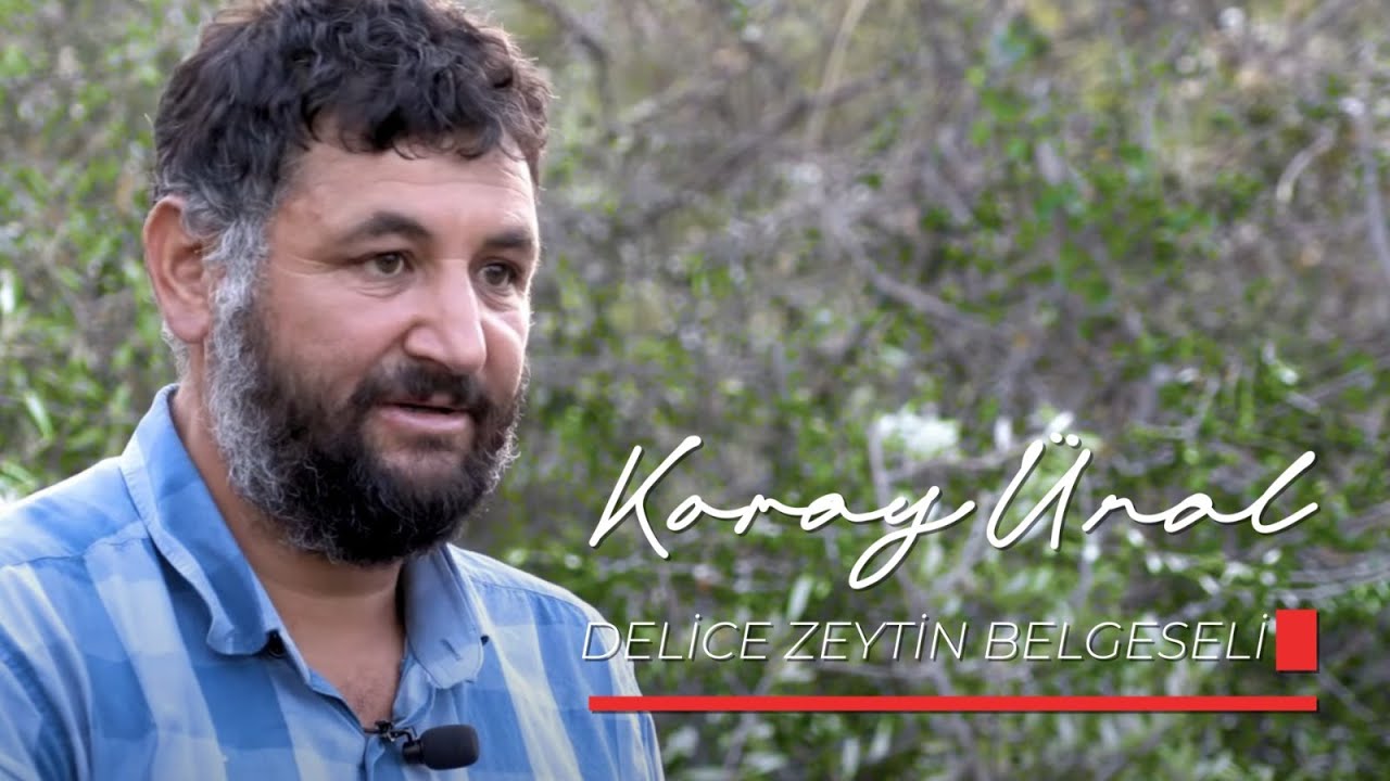 Delice Zeytin Belgeseli #korayunal #yönetmen #4k