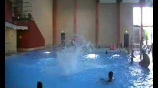 Splashdiving in Wolfsburg