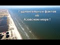 7 удивительных фактов об Азовском море!