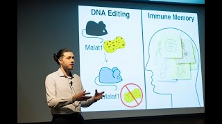 Malat1 is a Spongy RNA That Helps the Immune System Remember || Benjamin Wheeler