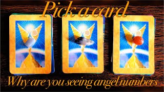 Why are you seeing angel numbers//What are your angels trying to tell you✨🤍~Pick a card~Timeless