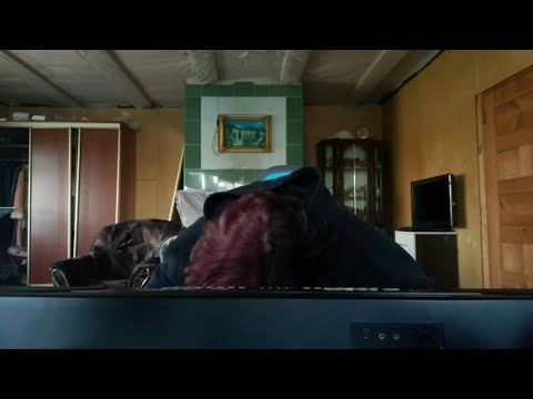 автостопом по фазе сна - я впадаю в кому (cover)