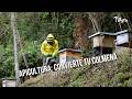 Apicultura: Convierte tu colmena en un negocio - TvAgro por Juan Gonzalo Angel