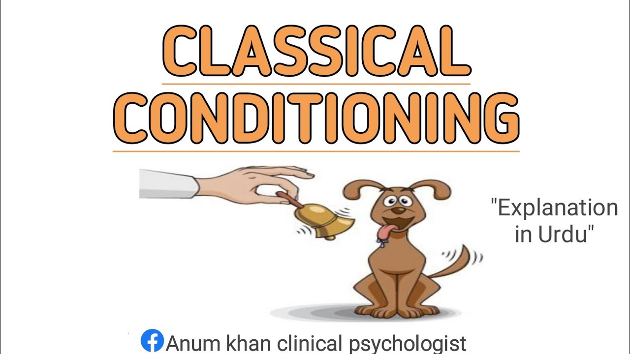 Classical conditioning Ivan Pavlov | psychology | Urdu