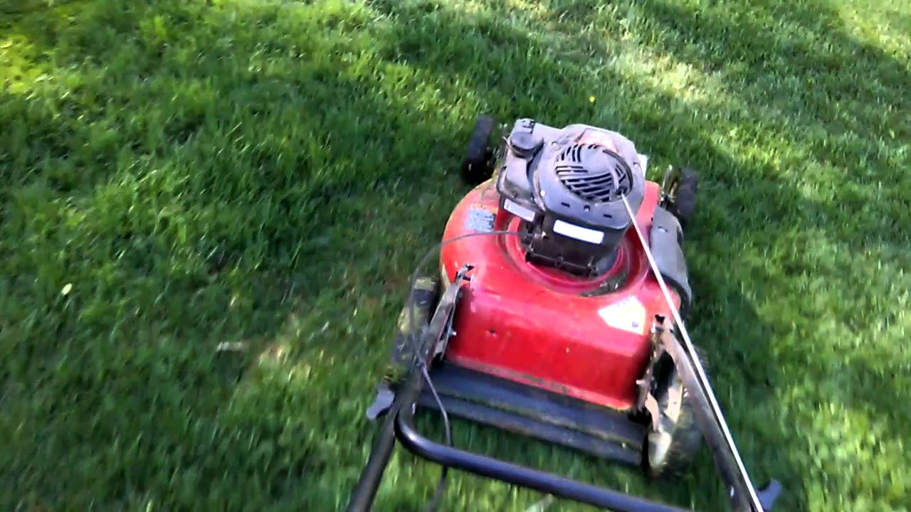 Cutting customers grass and dog poop lol .new to the business all I got