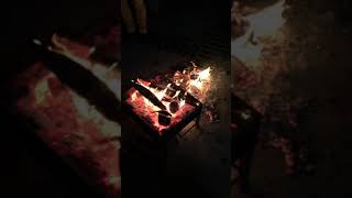 Benim Bütün Derdim Sensin Şanlı Göztepe