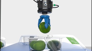 Sneak peek: piSOFTGRIP® – New vacuum-driven soft gripper from Piab