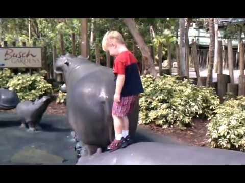 Toren jumping off hippos at Busch Gardens