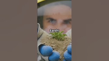 What If You Were Born in Space? (Shocking Truth!)