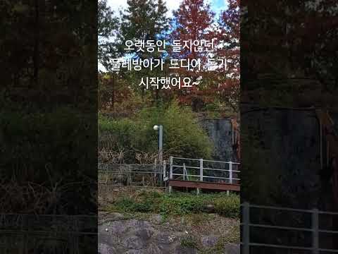 물레방아 출근길에 늘 보는 물레방아가 오랫동안 돌지않아 아쉬웠는데 드디어 돌기 시작했어요