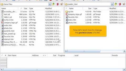 Managing files/folders in CuteFTP by www.vivahost.com