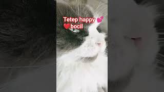  viral cat jalanlurushidup jalanyangjauhjanganlupapulang satuklikuntukwujudkanimpianmu