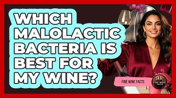 Which Malolactic Bacteria Is Best For My Wine? - Fine Wine Facts