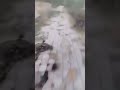 بیا بتس گوش کن بی تی اس مادرجنده کیرم تو اول و اخرش رپفارسی بیا بتس گوش کن بی تی اس مادرجنده کیرم تو اول و اخرش رپفارسی