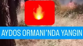 🔥📍İstanbul 📌 Pendik🎄Aydos Ormani’nda Yangin