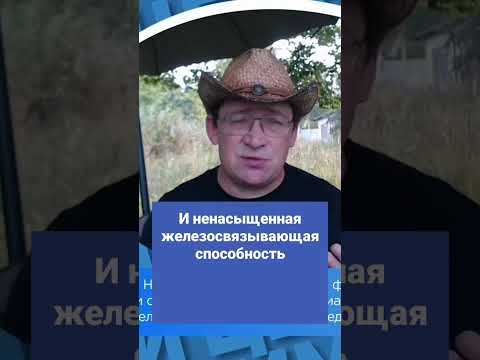 Анализы на железо в организме. Показатели обмена железа. #shorts