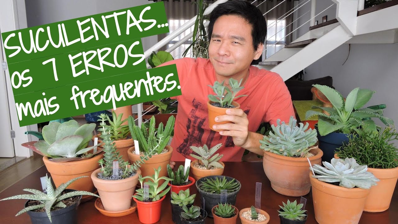 Os 7 ERROS mais comuns em suculentas.
