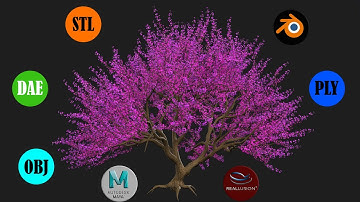 TREE CHERRY BLOSSOM 3D | BILAL CREATION