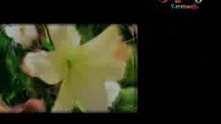 كليب اصطفاك المتين معكوس للنجم عبدالقادر صباهي ❤