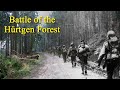 Battle of the Hürtgen Forest - Forgotten Meat Grinder - Visiting Historical Places in Hürtgenwald