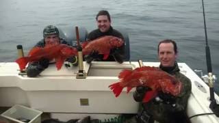 Sonoma County Spearfishing August 2016