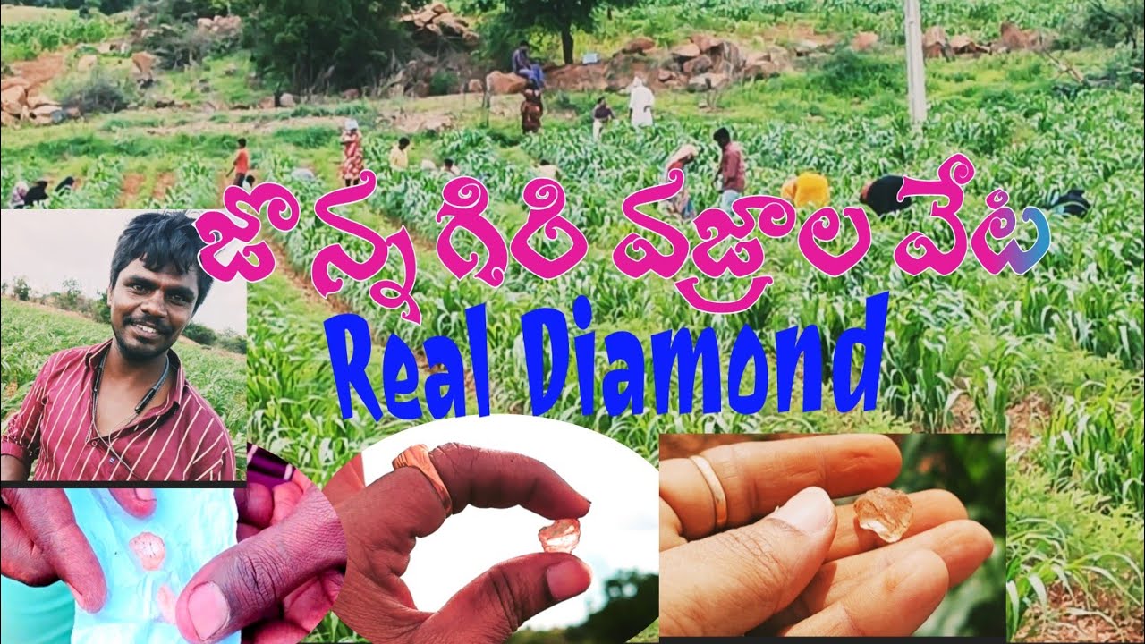 jonnagiri diamond hunting/నిజమైన వజ్రం దొరికింది/boy found Diamond in a feald