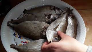 طريقة  تنظيف  قشور  سمك  الدنيس  | اسهل طريقة تنظيف قشور  سمك  دنيس