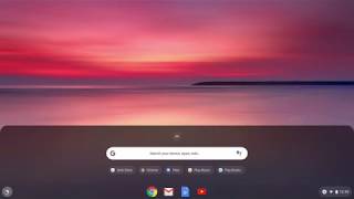 Rogic Install on a Chromebook