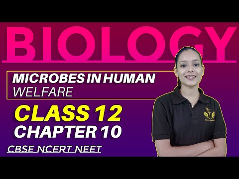 Microbes in Human Welfare Chapter 10 || Biology Class 12 || CBSE NCERT NEET || Pankh Academy