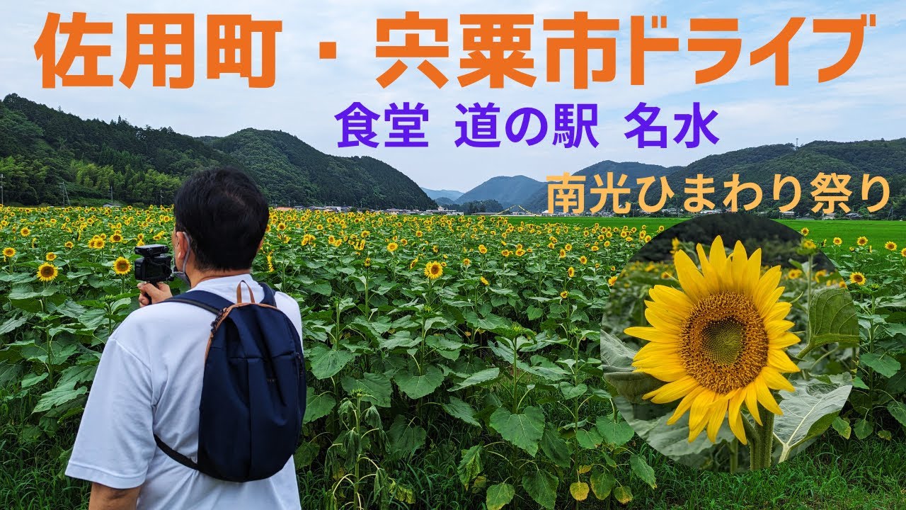 爆弾ボール唐揚げが旨い食堂  わんこと川遊び出来る道の駅  名水巡り  南光ひまわり祭り