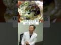 크라운 속 이렇게 썩은 치아도 발치하지 않고 살릴 수 있습니다 크라운 속 이렇게 썩은 치아도 발치하지 않고 살릴 수 있습니다