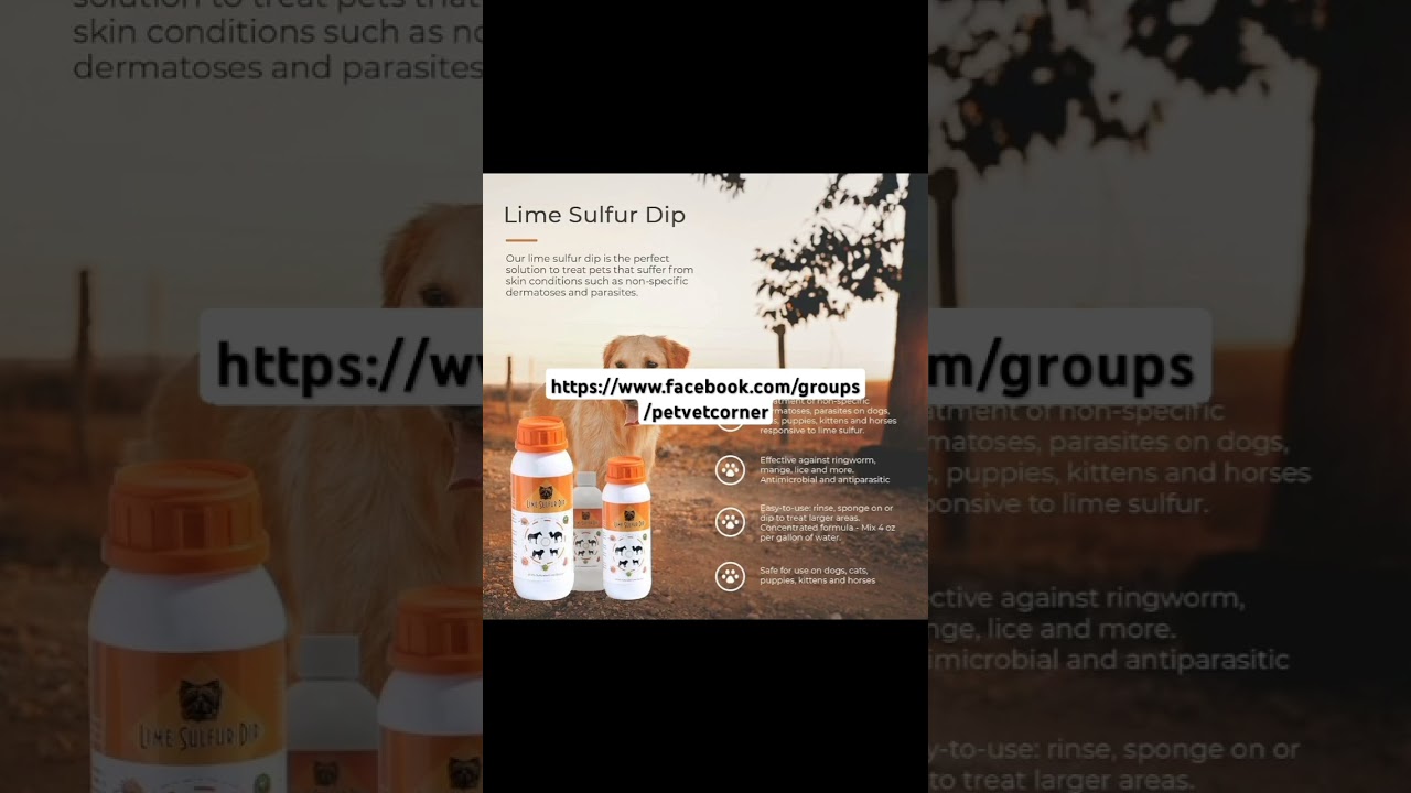 sulfur ointment for animals Treats scabies and ringworm that affect the skin