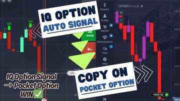 IQ Option Auto Buy Sell Signal Script Tested on Pocket Option | Real-Time 2-Minute Trading Strategy