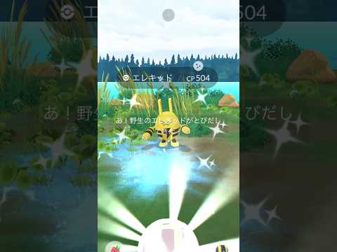 [PokemonGO] 激レア スパークエレキッド色違い初ゲット！ #ポケモン