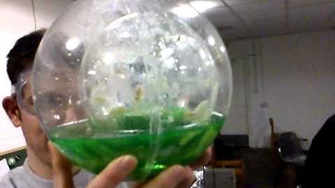 Opening the cupcake from Alpha One Labs