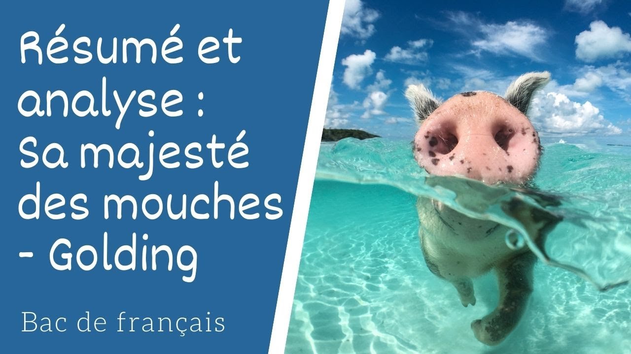 Sa Majesté Des Mouches Résumé Par Chapitre